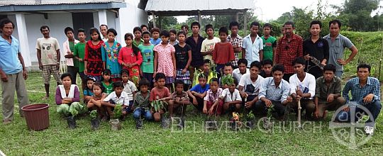 Sunday School Department Plant Saplings in a School on World Environment Day