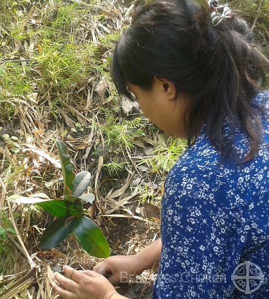 Women’s Fellowship Plants 1,026 Trees on World Environment Day