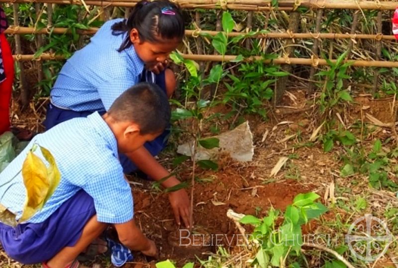 Diocese of Agartala Marks World Environment Day with Rallies, Tree Plantation Drives