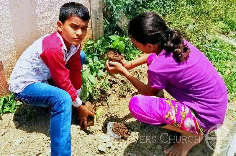 Tree Plantation-Cum-Cleanliness Drive Mark Independence Day Celebration in Diocese of Mumbai