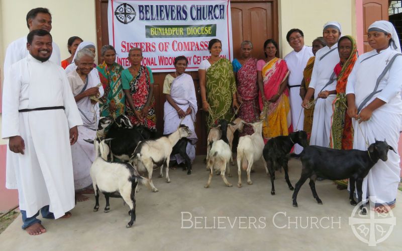 Destitute Widows Receive Goats in Diocese of Buniyadpur